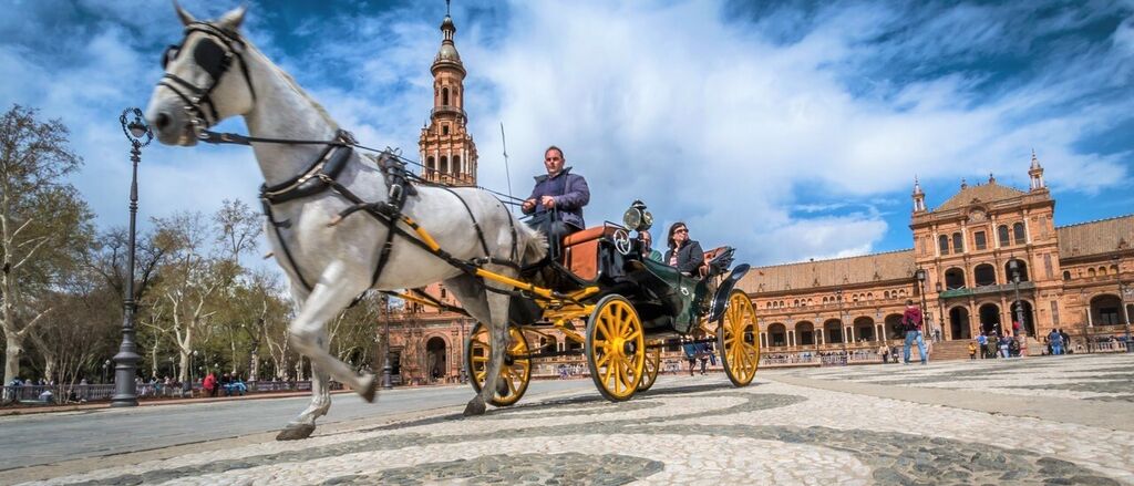 Sevilla horse spain tourism 162042