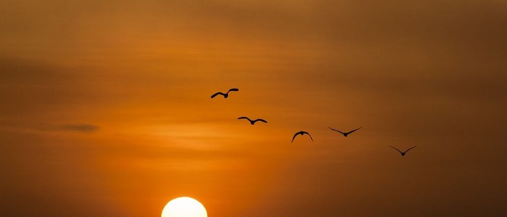 Sunset 600095 960 720